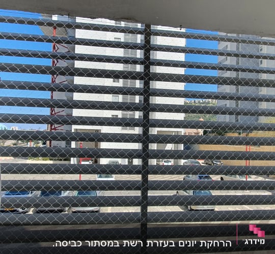 רשת מתכת על חלון למניעת כניסת יונים